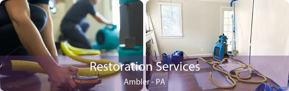 Restoration Services Ambler - PA