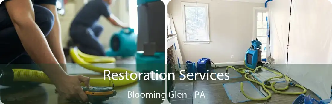 Restoration Services Blooming Glen - PA