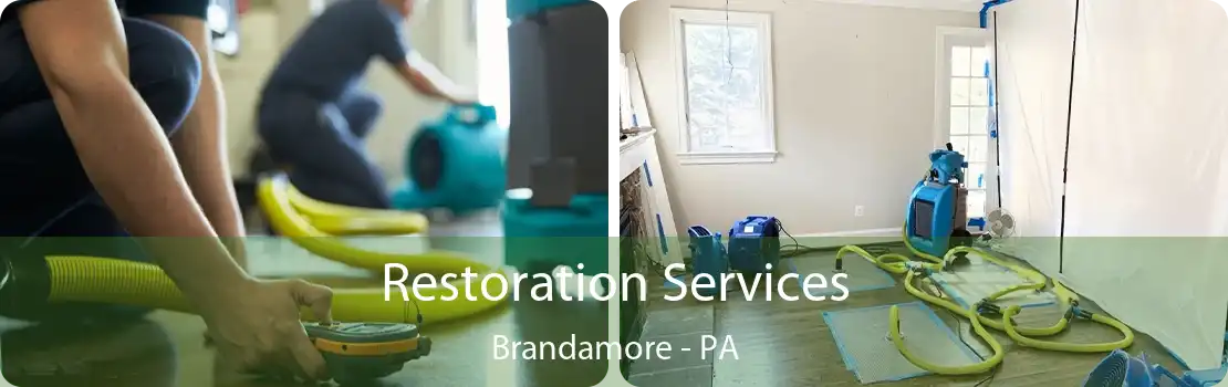 Restoration Services Brandamore - PA