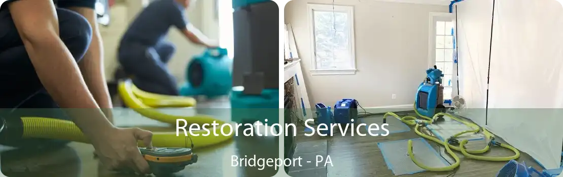 Restoration Services Bridgeport - PA