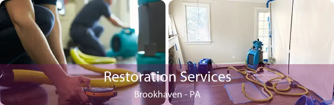 Restoration Services Brookhaven - PA