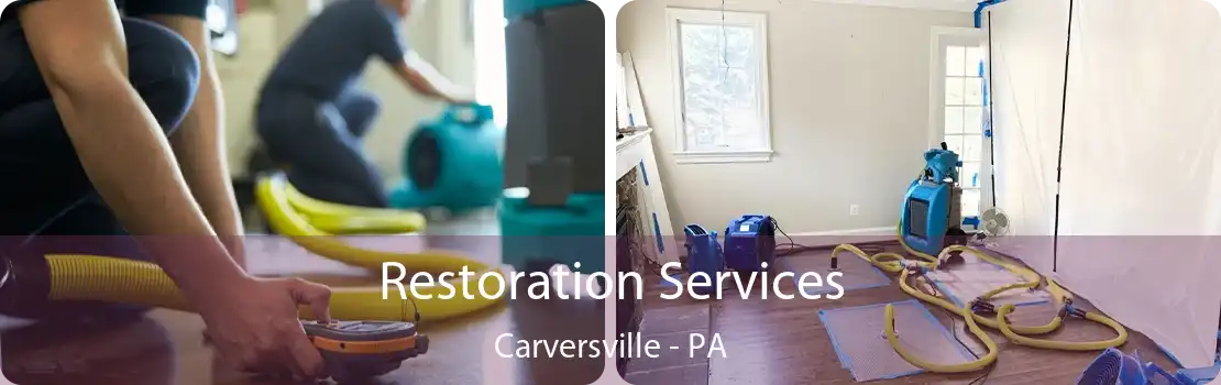 Restoration Services Carversville - PA