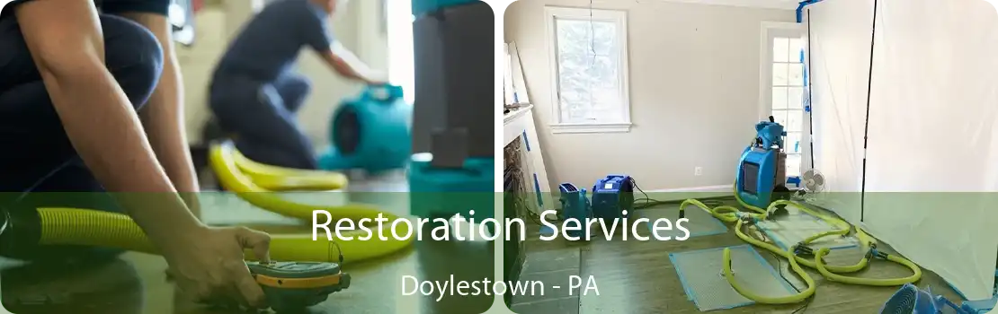 Restoration Services Doylestown - PA