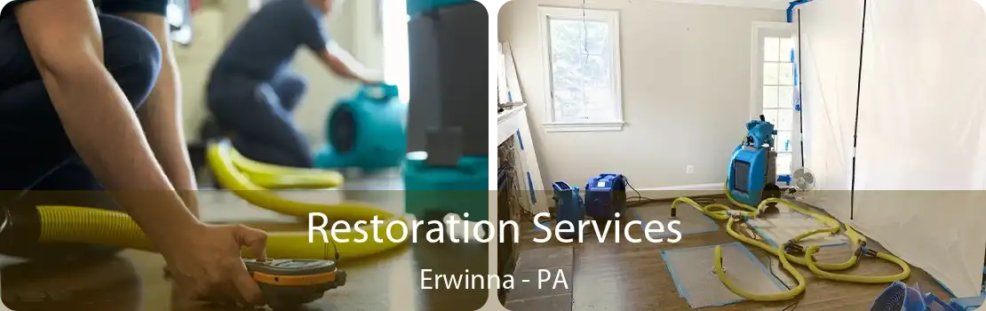 Restoration Services Erwinna - PA