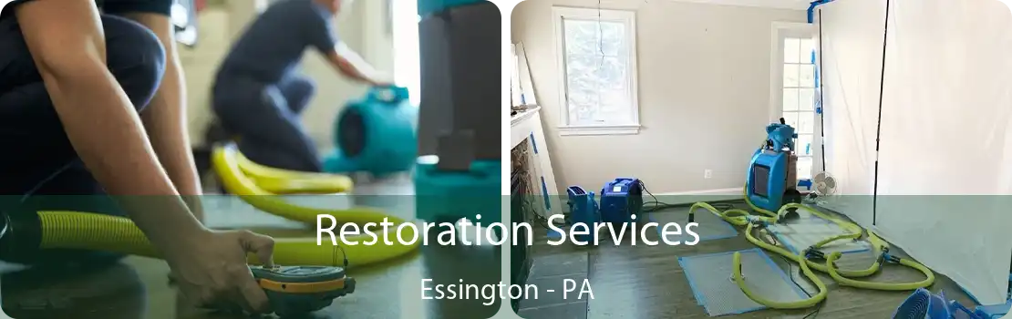 Restoration Services Essington - PA