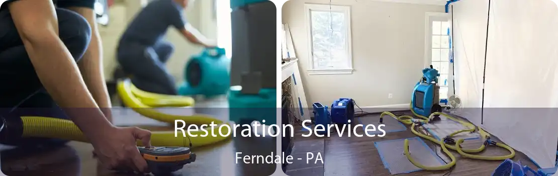 Restoration Services Ferndale - PA