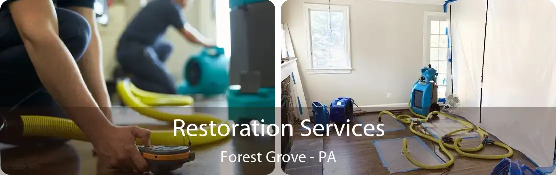 Restoration Services Forest Grove - PA