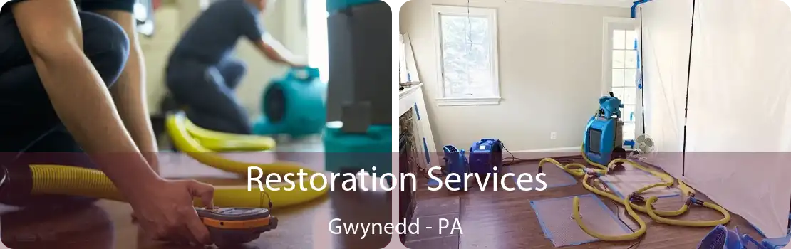 Restoration Services Gwynedd - PA