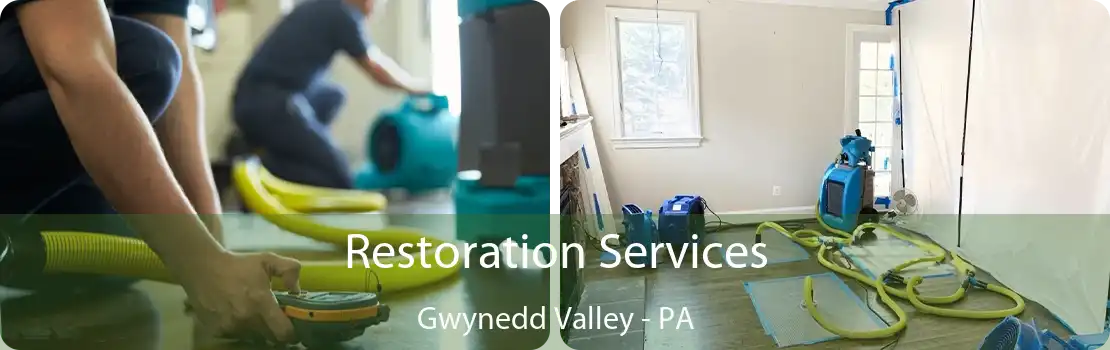 Restoration Services Gwynedd Valley - PA