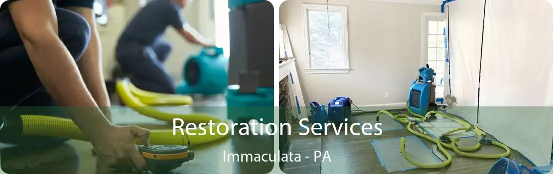 Restoration Services Immaculata - PA