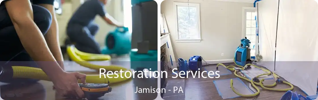 Restoration Services Jamison - PA