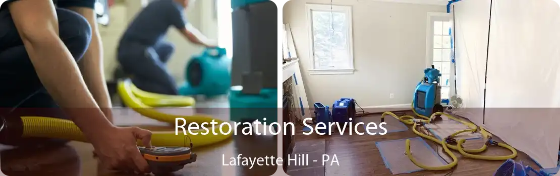 Restoration Services Lafayette Hill - PA