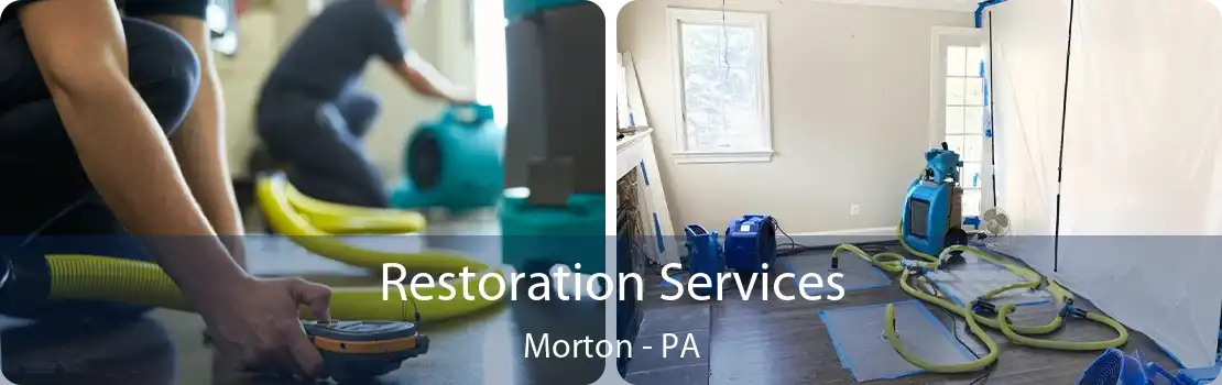 Restoration Services Morton - PA