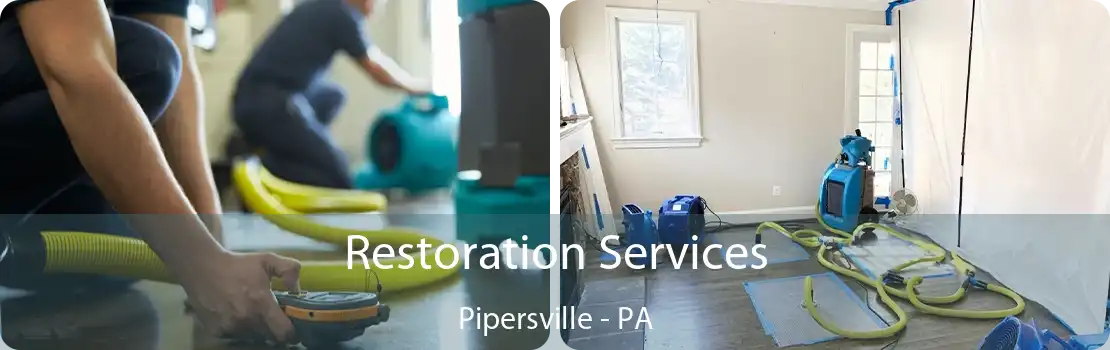 Restoration Services Pipersville - PA