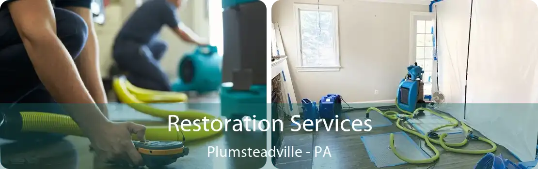 Restoration Services Plumsteadville - PA