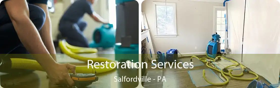 Restoration Services Salfordville - PA