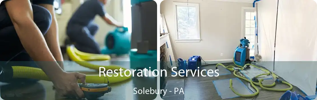 Restoration Services Solebury - PA