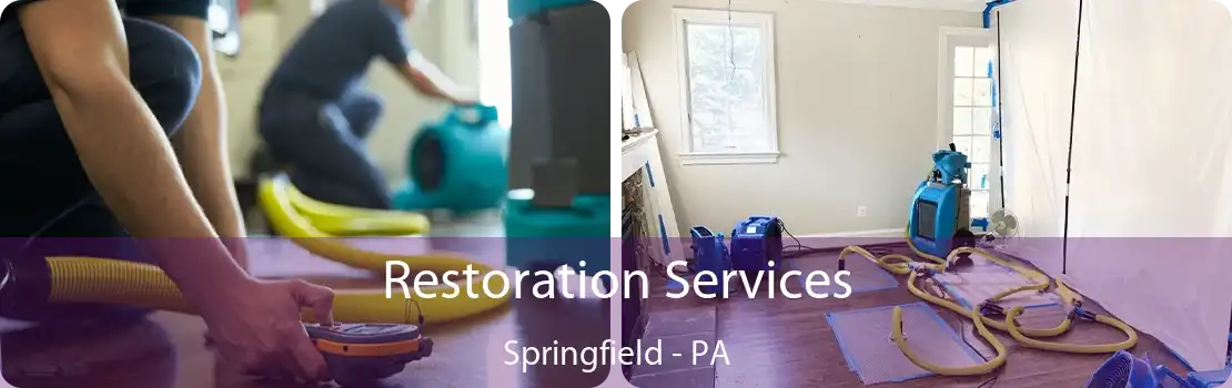 Restoration Services Springfield - PA