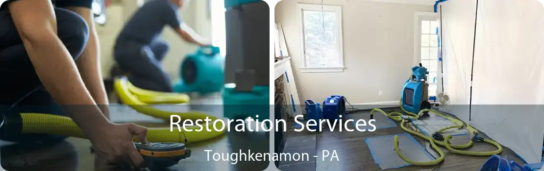 Restoration Services Toughkenamon - PA