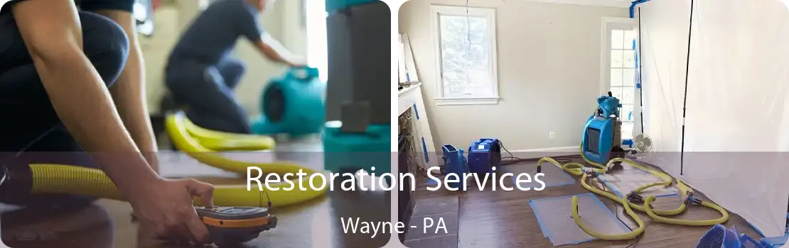 Restoration Services Wayne - PA