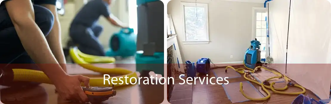 Restoration Services 