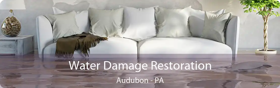 Water Damage Restoration Audubon - PA