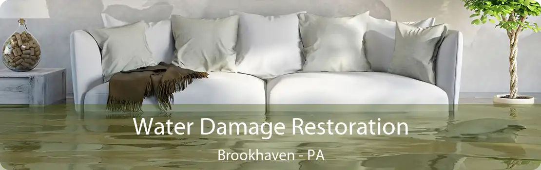 Water Damage Restoration Brookhaven - PA