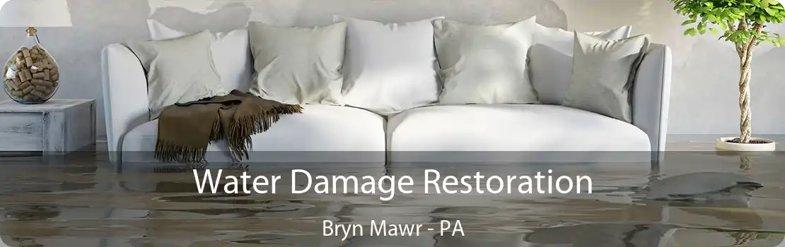 Water Damage Restoration Bryn Mawr - PA