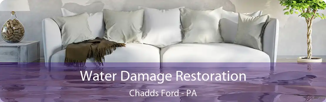 Water Damage Restoration Chadds Ford - PA