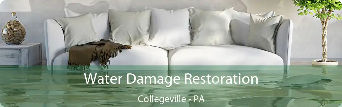 Water Damage Restoration Collegeville - PA