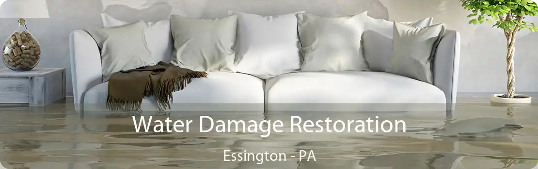 Water Damage Restoration Essington - PA