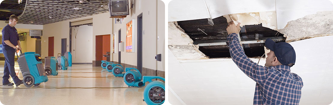 Water Damage Remediation in Lewisville